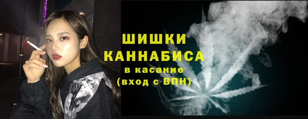 хмурый Снежногорск