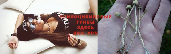 мдпв Слюдянка
