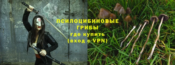 трава Снежинск