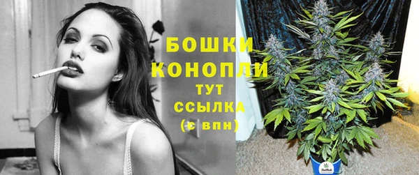 мдпв Слюдянка