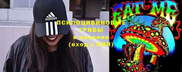 хмурый Снежногорск