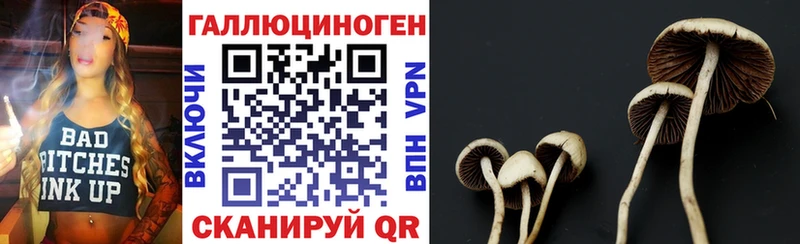 Псилоцибиновые грибы прущие грибы  Купить где  Краснодар 